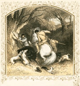 Chasse au sanglier