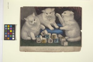 Mes trois chatons blancs