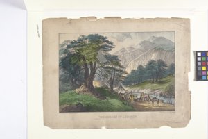 Les cèdres du Liban