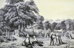 Récolte