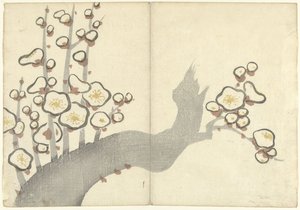 Fleurs de prunier