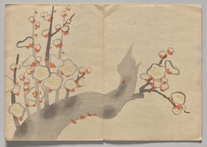 Scène du Livre d