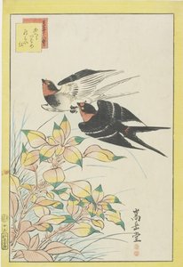 Hirondelles rentrant et feuilles rouges - Nakayama Sugakudo