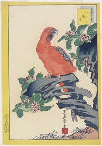 Perroquet rose sur un rocher, 1859 - Nakayama Sugakudo
