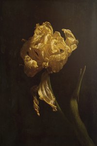  - Naoya Nakagawa
