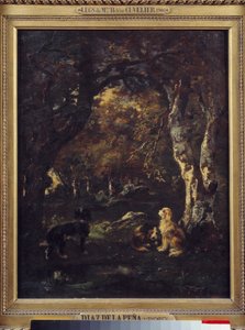 Chiens dans la forêt