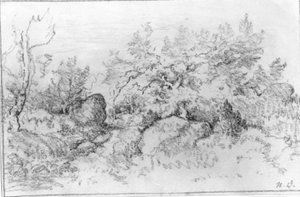 Vue sur la forêt - Narcisse Virgile Diaz de la Peña