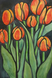 Des tulipes orange vif
