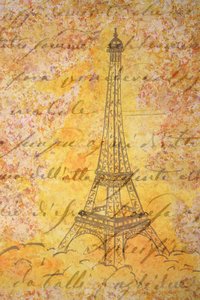 Le script de la Tour Eiffel - Natalie Bruns
