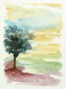 Coucher de soleil sur Lone Tree - Natalie Bruns