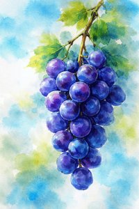 Aquarelle « Raisins violets »