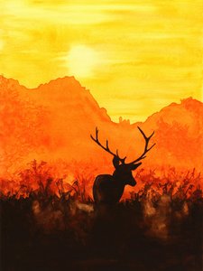 Silhouette d