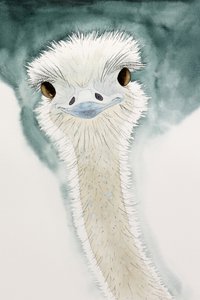 L