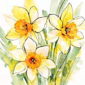 Des jonquilles jaunes en fleur