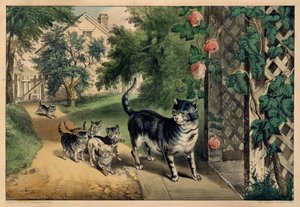 Le retour de Pussy, 1874-78