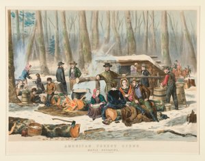 Scène de forêt américaine, récolte de sirop d