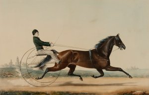 Mac - Nathaniel Currier