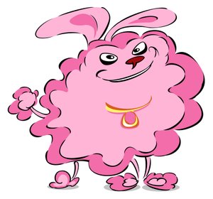 Caniche pompon - caricature