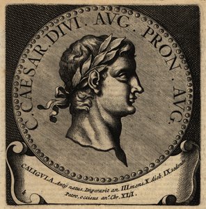 Portrait de l