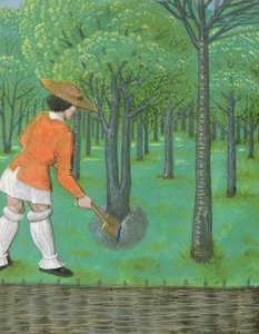 Homme avec une bêche dans un verger, de 