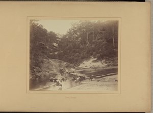 Upper Nepean - New South Wales Government Printing Office