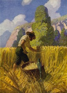 Illustration pour Robinson Crusoé - Newell Convers (after) Wyeth
