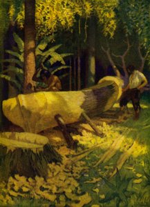Illustration pour Robinson Crusoé - Newell Convers (after) Wyeth