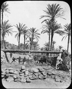 Roue à eau, Égypte, vers 1890