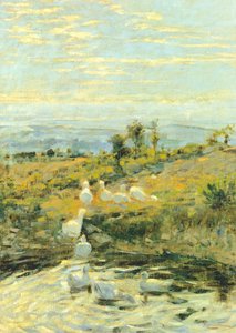 Canards le matin, vers 1892 - Niccolo Cannicci