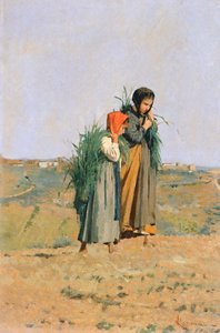 Erbaiole - Niccolo Cannicci