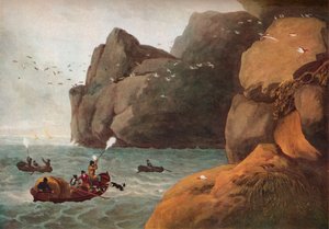 Chasse au macareux