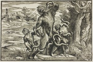 Laocoon - Nicolò Boldrini