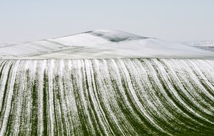  - Nicola Figliuolo