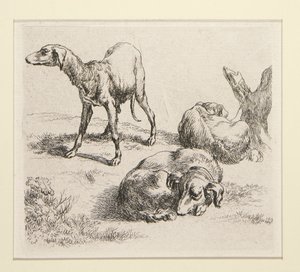 2 gravures de la série Divers Animaux, avec l