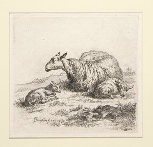 2 gravures de La série des moutons avec la bergère et les moutons, la soi-disant Femme