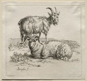 Animalia : Bélier et Chèvre