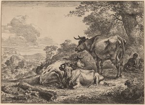 Vaches au repos - Nicolaes Berchem