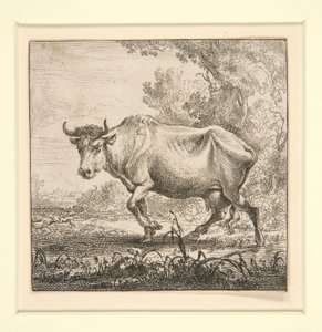 Le Troupeau de vaches, avec la laitière - Nicolaes Berchem