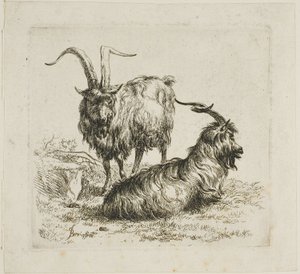Deux chèvres aux grandes cornes, de Divers animaux - Nicolaes Berchem