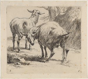Deux Moutons, Un Pissant