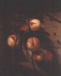 Branche de pêches contre un mur, avec des escargots - Nicolaes Maes