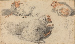 Moutons