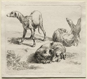Trois chiens de chasse