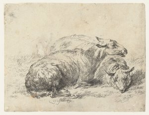 Deux moutons couchés, Animalia ad vivum delineata et aqua forti aeri impressa Studio et Arte Nicolai Berchemi (titre de la série)