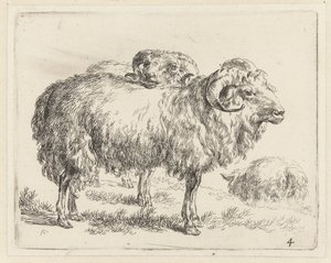 Deux béliers et un mouton