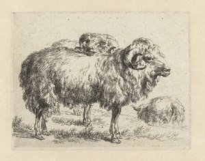 Deux béliers et un mouton