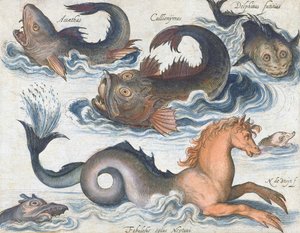 Hippocampe et créatures aquatiques imaginaires - Nicolaes de (after) Bruyn