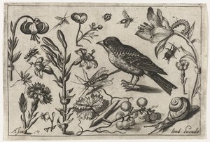 Fleurs, un escargot et un oiseau (Oiseaux, fleurs, insectes, etc.)