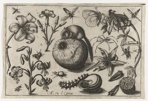 Fleurs et une souris sur une pomme - Nicolaes de Bruyn (possibly)