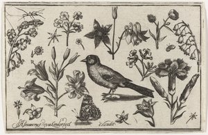 Fleurs, papillon et un oiseau